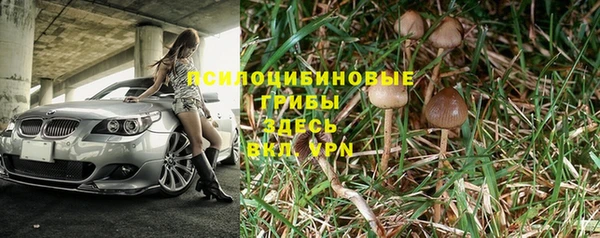 метадон Горняк
