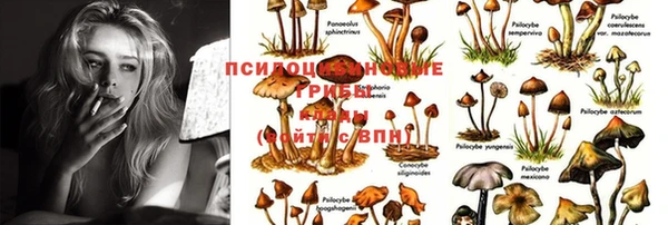 метадон Горняк